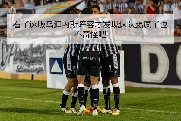 看了这版乌迪内斯阵容才发现这队踢疯了也不奇怪吧
