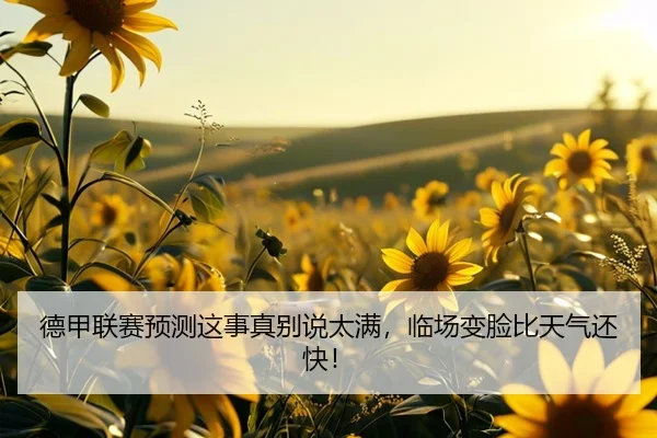 de-jia-lian-sai-yu-ce-zhe-shi-zhen-bie-shuo-tai-man-lin-chang-bian-lian-bi-tian-qi-hai-kuai-2-624.jpg