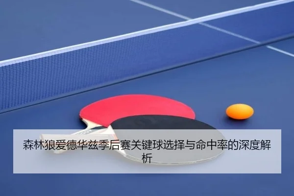 森林狼爱德华兹季后赛关键球选择与命中率的深度解析