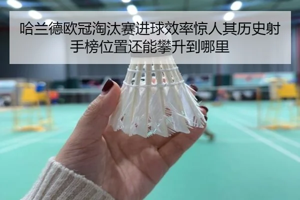 ha-lan-de-ou-guan-tao-tai-sai-jin-qiu-xiao-lv-jing-ren-qi-li-shi-she-shou-bang-wei-zhi-hai-neng-pan-sheng-dao-na-li-2-216.jpg